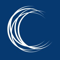 Caine Seymour Consulting logo - Similar company to Hyan Consulting