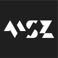 MSZ logo - Similar company to Msz Consultancy