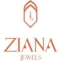 Ziana Jewels Private Limited logo - Similar company to Visionwise Wealth