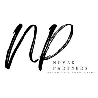 Novak Partners logo - Similar company to Nexora Digitech