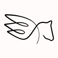 Pégase Digital logo - Similar company to Steamulo Lyon