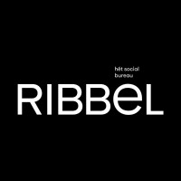 RIBBEL logo - Similar company to Amar Instrument & Controls
