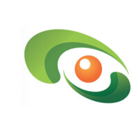 GIPSE - Groupement Ivoirien des Professionnels de la Sécurité Electronique logo - Similar company to Convenient