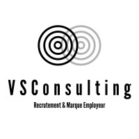 VSConsulting logo - Similar company to Vs Consulting Group