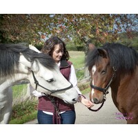 HorseSense UK logo - Similar company to Horseeffect Personalcoaching
