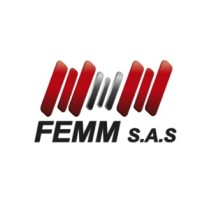 ASCENSORES FEMM logo - Similar company to Parking Experts Srl