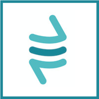 Mainspring Consulting LLC