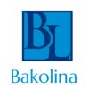 Bakolina Limited Recruitment Solutions logo - Similar company to The Cultural Connection