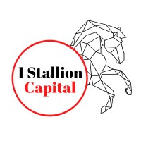 1 Stallion Capital logo - Similar company to Airdroply