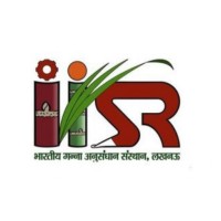 ICAR - Indian Institute of Sugarcane Research - IISR logo - Similar company to Dzk Creative