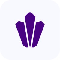 Ametyst logo - Similar company to Fp Mangimi