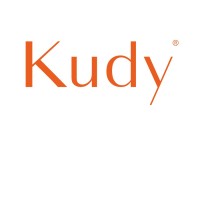 Guangdong Kudy Lighting Technology Co., Ltd logo - Similar company to Aec Norge As