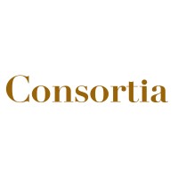 Consortia Consultores logo - Similar company to Xcailex