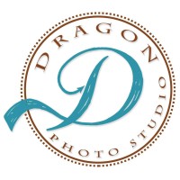 Dragon Studio logo - Similar company to Dragon-Studio