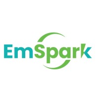 EmSpark EduTech logo - Similar company to Laabdhi Business Process Management