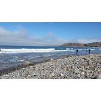 Micah Group Energy & Environmental