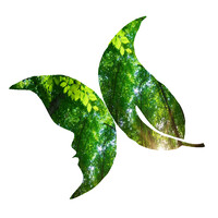 Mindfulnesscasadohorto logo - Similar company to Mente Aberta - The Brazilian Center For Mindfulness And Health Promotion, Unifesp