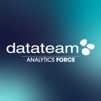 Datateam logo - Similar company to Nexolution