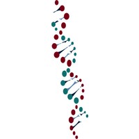 Livingwords Translations logo - Similar company to Bay View Analytics