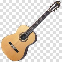 Guitar Classes logo - Similar company to Guitar Instructor