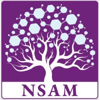 Nanoscale and Advanced Materials (NSAM) logo - Similar company to Create_Correct