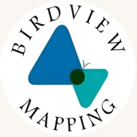 BirdView Mapping logo - Similar company to Latlong