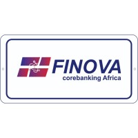 Finova Africa logo - Similar company to Nesgas Producing Limited