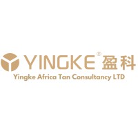 盈科_坦桑尼亚_南非_Yingke_Tanzania_South Africa logo - Similar company to Theodore Attorneys