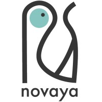 Novaya logo - Similar company to Artisans D'Idées