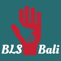 BLS Internships Bali logo - Similar company to Stepout Abroad