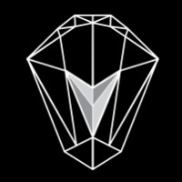 Vasavah Consultancy Inc. logo - Similar company to Pixca Inc.