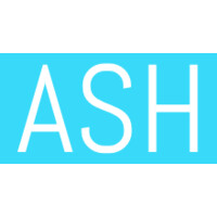 ASH Marketing Consulting logo - Similar company to Ash Marketing