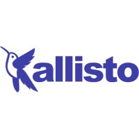 Kallisto - The Experience Lab logo - Similar company to None