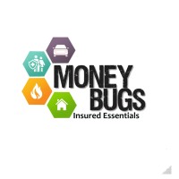 MONEY BUGS logo - Similar company to Echoedge Media
