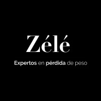 Zélé logo - Similar company to Governance Process And Dignity Bureau