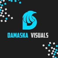 Damaska Visuals logo - Similar company to Torn Digital