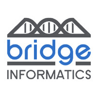 Bridge Informatics logo - Similar company to Verne Bio