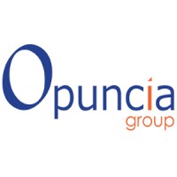 OPUNCIA GROUP logo - Similar company to Nuances Technologies