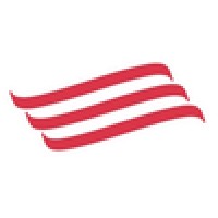 Well Point logo - Similar company to Varpar Group (Varpar International Pvt Ltd)