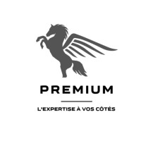 PREMIUM EXPERTS logo - Similar company to Talent Rh