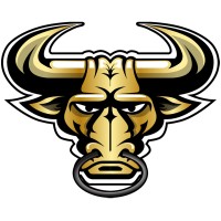 B* DYNA logo - Similar company to Rockworkx