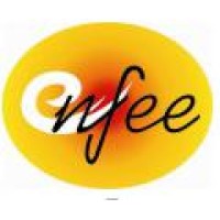 HAIYANG CITY ENFEE PACKING CO.,LTD logo - Similar company to Surface Armor