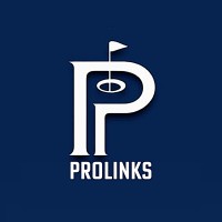 Prolinks Consulting logo - Similar company to Re/Max Crown Realty