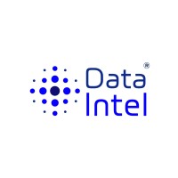 DataIntel logo - Similar company to Dataintellec