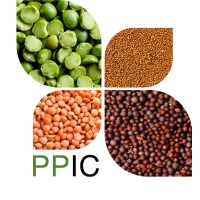 Plant Protein Innovation Center logo - Similar company to Deva Gruppen