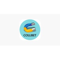 Collibet Info Services pvt ltd logo - Similar company to Collibet India