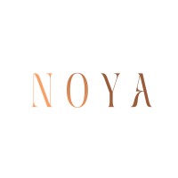 NOYA logo - Similar company to Goodness Cart