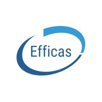 EFFICAS SAS logo - Similar company to Soone