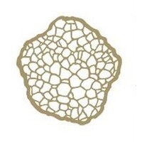 White Truffle logo - Similar company to Wild Truffle Catering