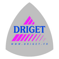 DRIGET SARL logo - Similar company to Ecf